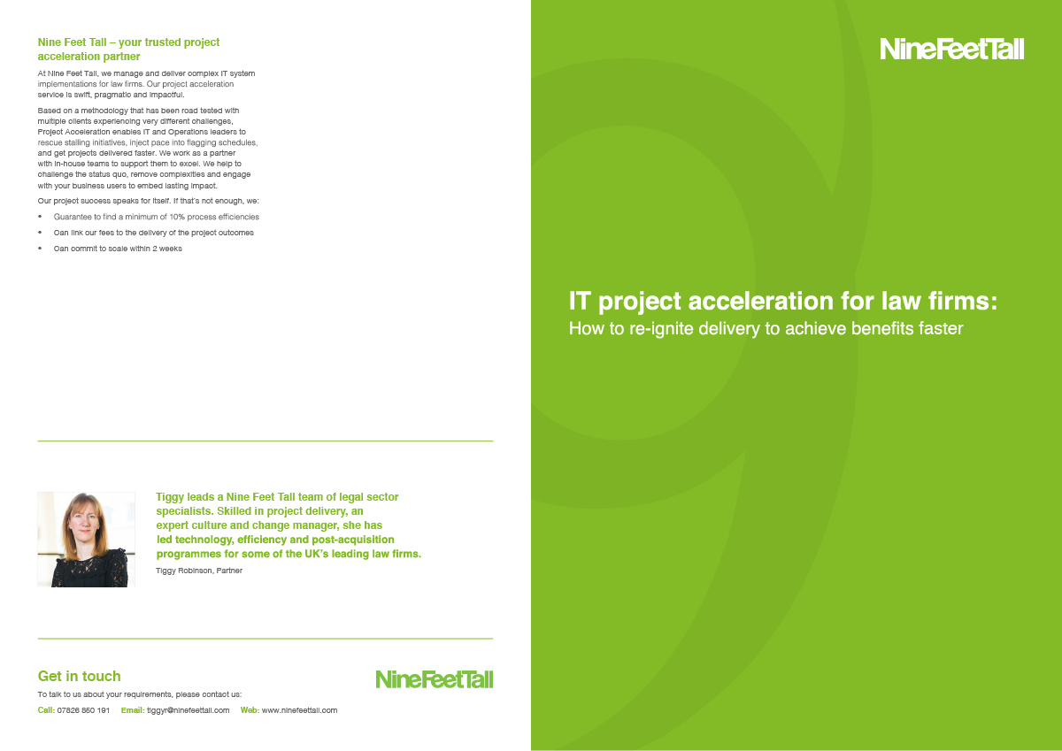 Nine Feet Tall - Project Acceleration White Paper