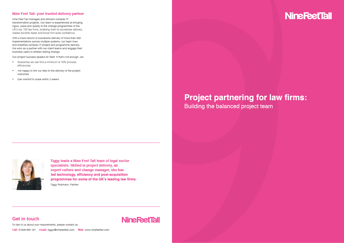 Nine Feet Tall - Project Partnering White Paper