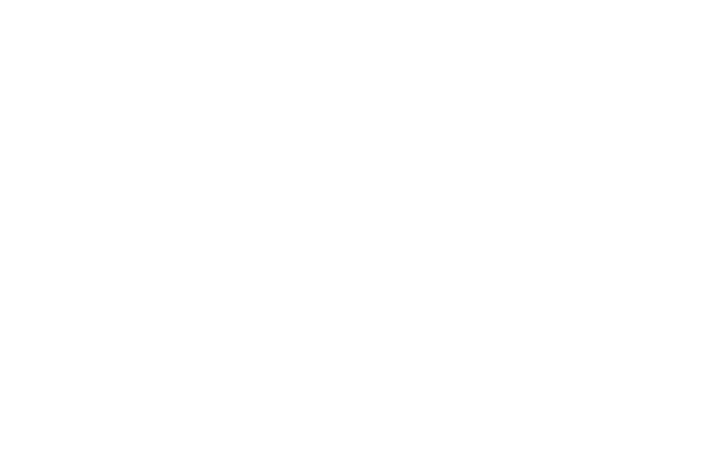 Phoenix Logo