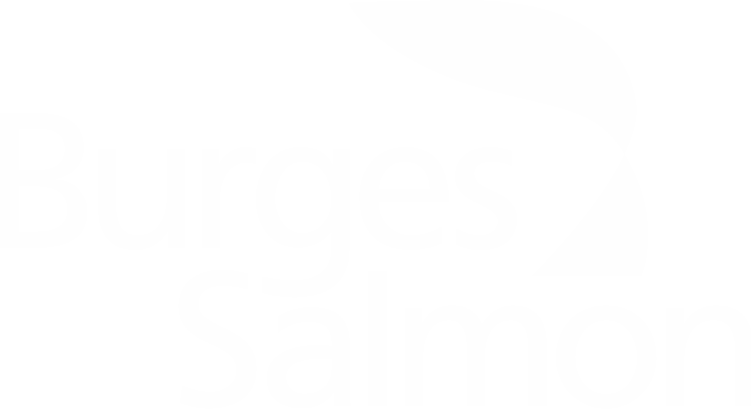 Company Logo Burgess Salmon