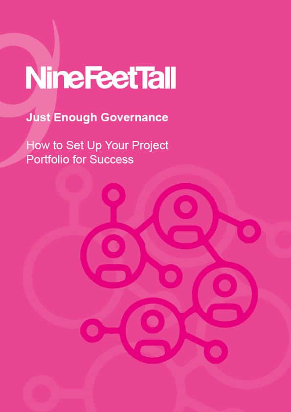 Just Enough Governance Book Cover