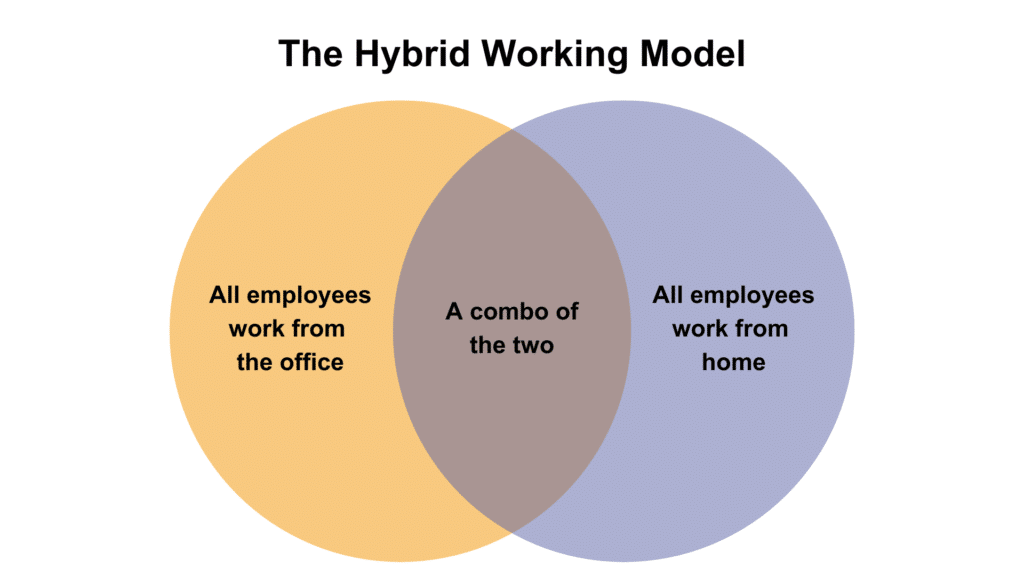 The hybrid working morel