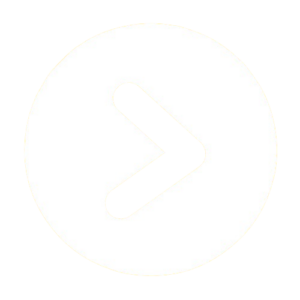 Play button icon